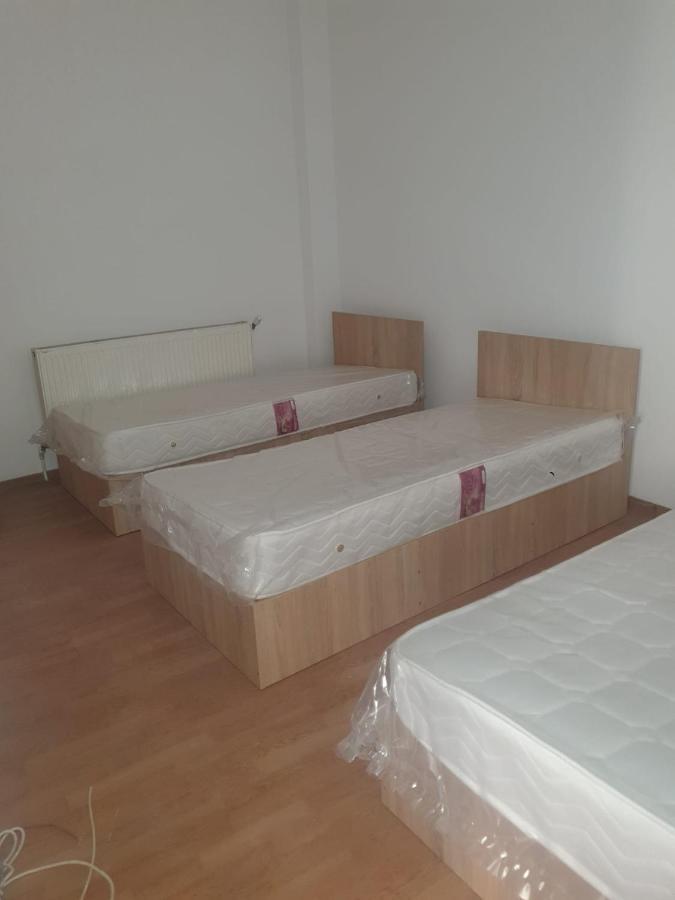 Cazare - Accommodation Bukareszt Zewnętrze zdjęcie